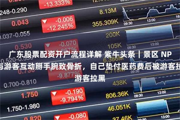广东股票配资开户流程详解 紫牛头条｜景区 NPC 与游客互动掰手腕致骨折，自己垫付医药费后被游客拉黑